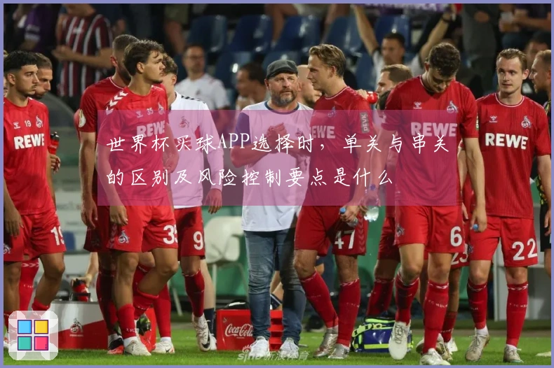 世界杯买球APP选择时，单关与串关的区别及风险控制要点是什么
