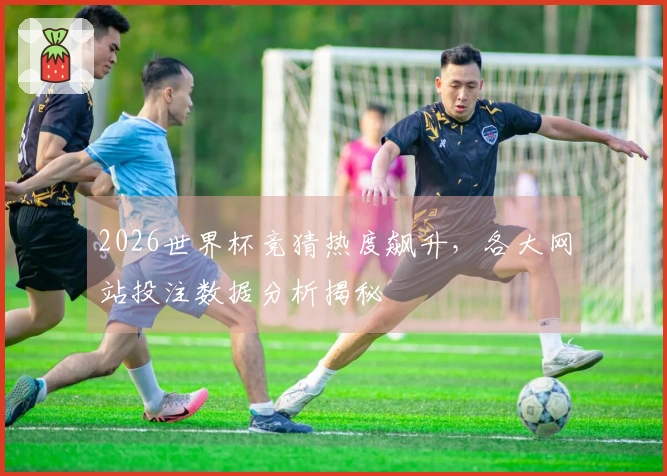 2026世界杯竞猜热度飙升，各大网站投注数据分析揭秘