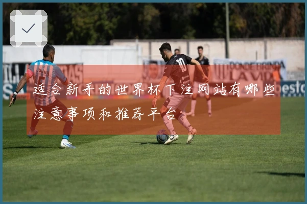 适合新手的世界杯下注网站有哪些注意事项和推荐平台