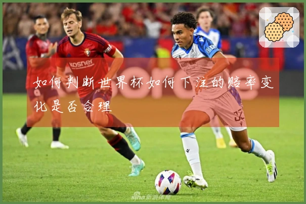 如何判断世界杯如何下注的赔率变化是否合理