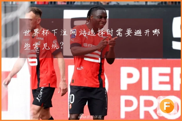 世界杯下注网站选择时需要避开哪些常见坑？