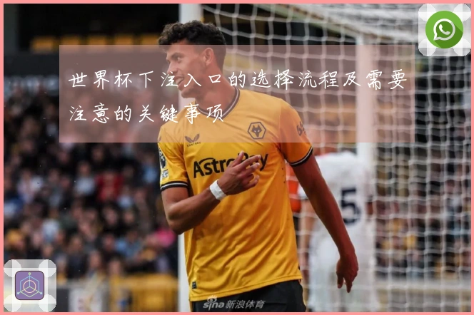 世界杯下注入口的选择流程及需要注意的关键事项