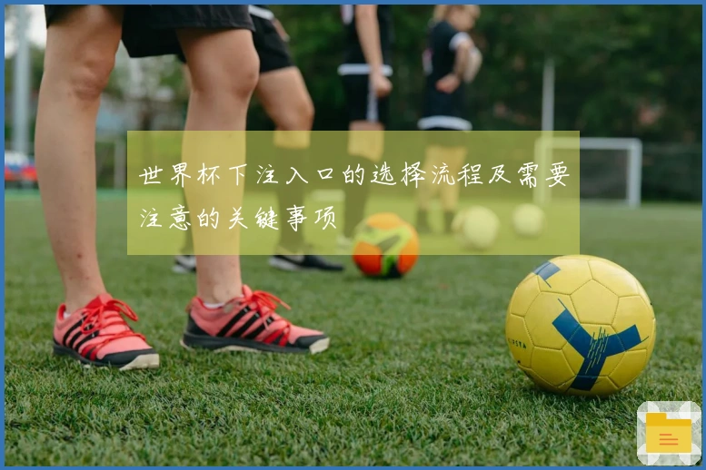 世界杯下注入口的选择流程及需要注意的关键事项