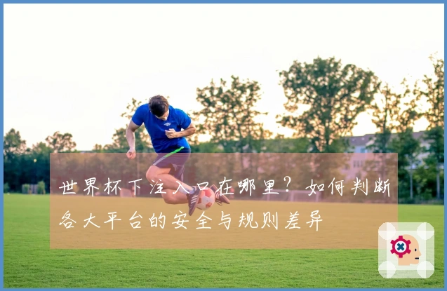 世界杯下注入口在哪里？如何判断各大平台的安全与规则差异