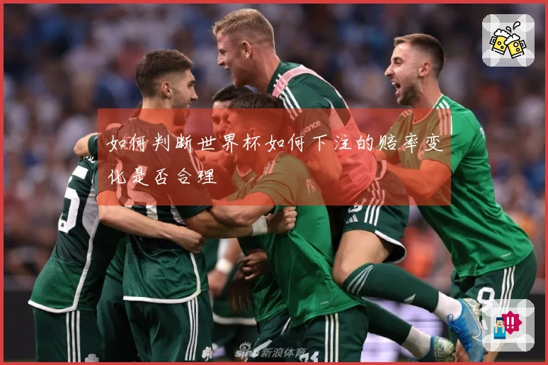 如何判断世界杯如何下注的赔率变化是否合理
