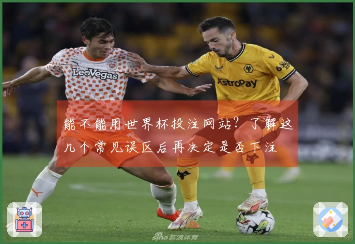 能不能用世界杯投注网站？了解这几个常见误区后再决定是否下注