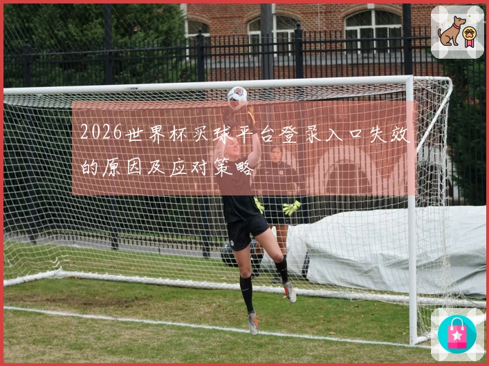 2026世界杯买球平台登录入口失效的原因及应对策略