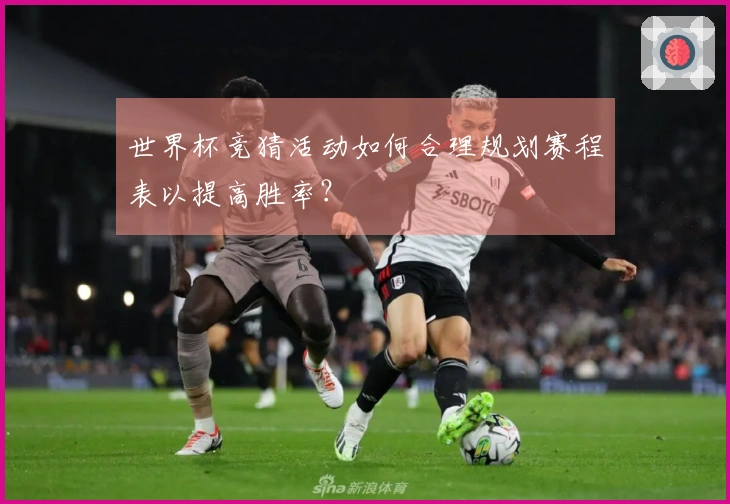 世界杯竞猜活动如何合理规划赛程表以提高胜率？