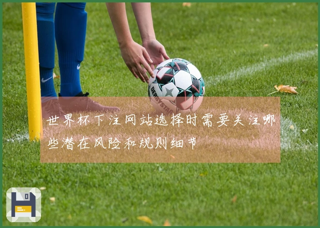 世界杯下注网站选择时需要关注哪些潜在风险和规则细节