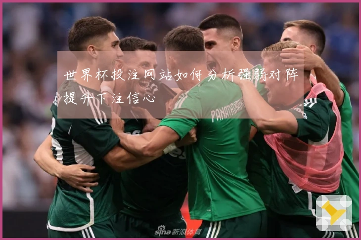 世界杯投注网站如何分析强弱对阵提升下注信心