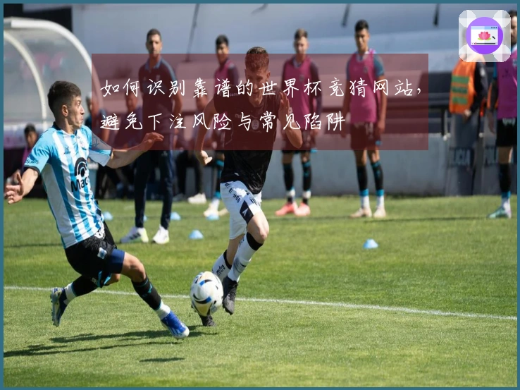 如何识别靠谱的世界杯竞猜网站，避免下注风险与常见陷阱