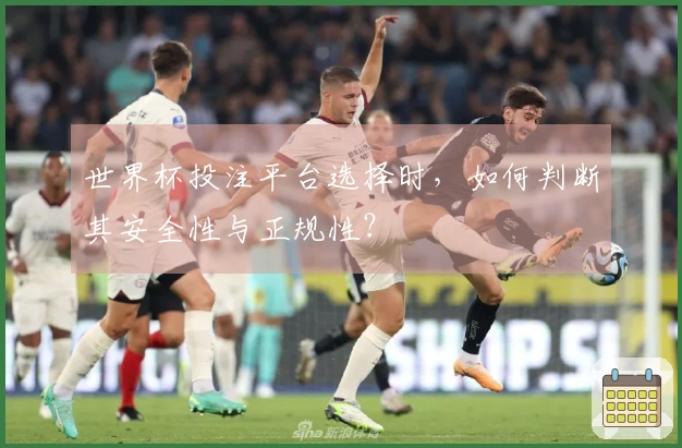 世界杯投注平台选择时,如何判断其安全性与正规性?
