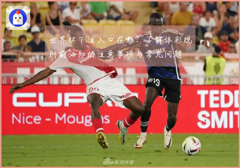世界杯下注入口在哪？了解体彩规则前必知的注意事项与常见问题
