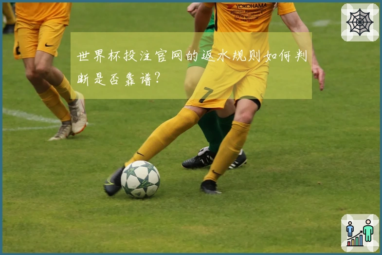 世界杯投注官网的返水规则如何判断是否靠谱？